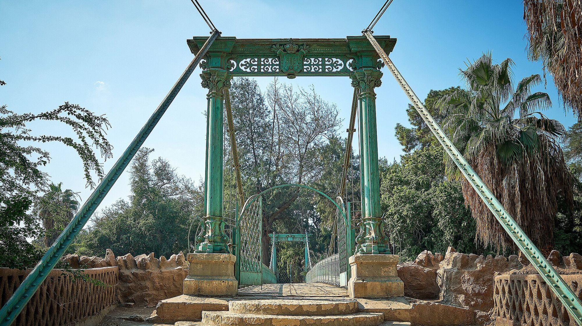 A suspension bridge among trees
